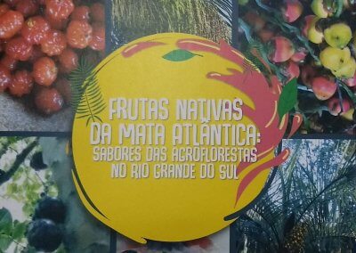 Frutas Nativas da Mata Atlântica