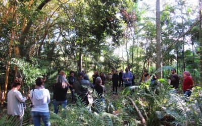 Projeto promove curso de VIVEIRISMO nas escolas