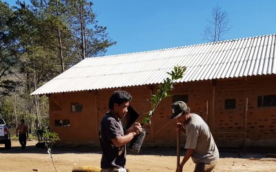 Encontro Mbyá Guarani vai ter Vivência intercultural Agroecológica